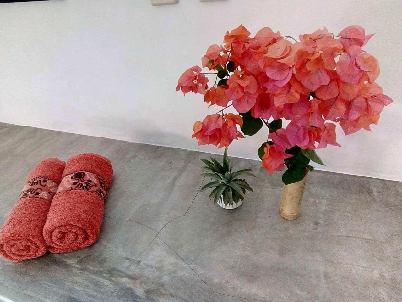 مبيت وإفطار Cafe Des Arts غيلي آير المظهر الخارجي الصورة